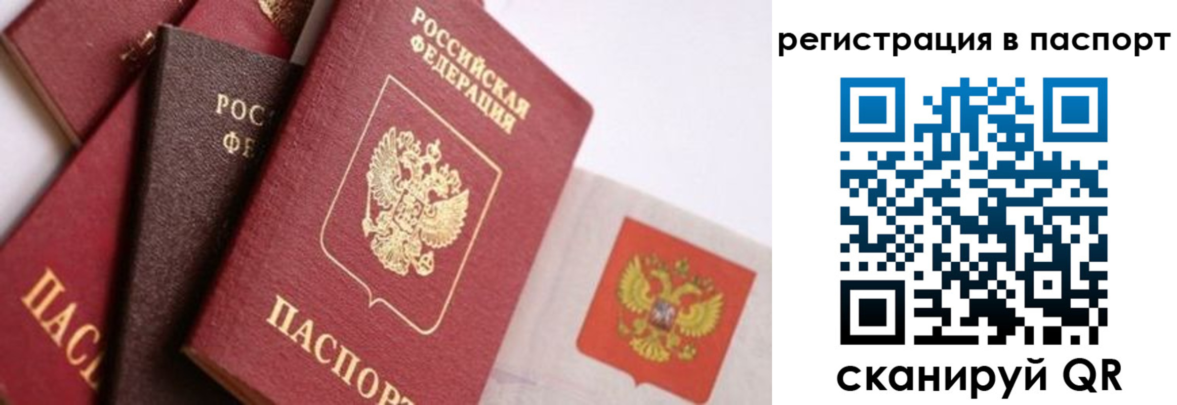 прописка в квартире в Котовске